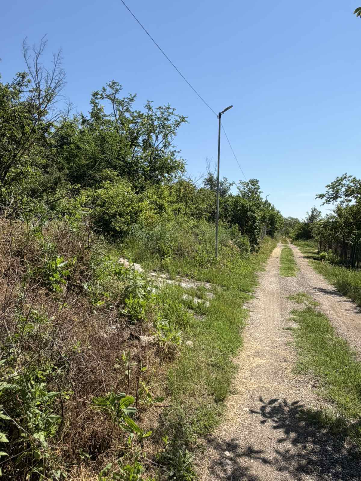 Парцел  в местност Дирбак, с. Николово - 6