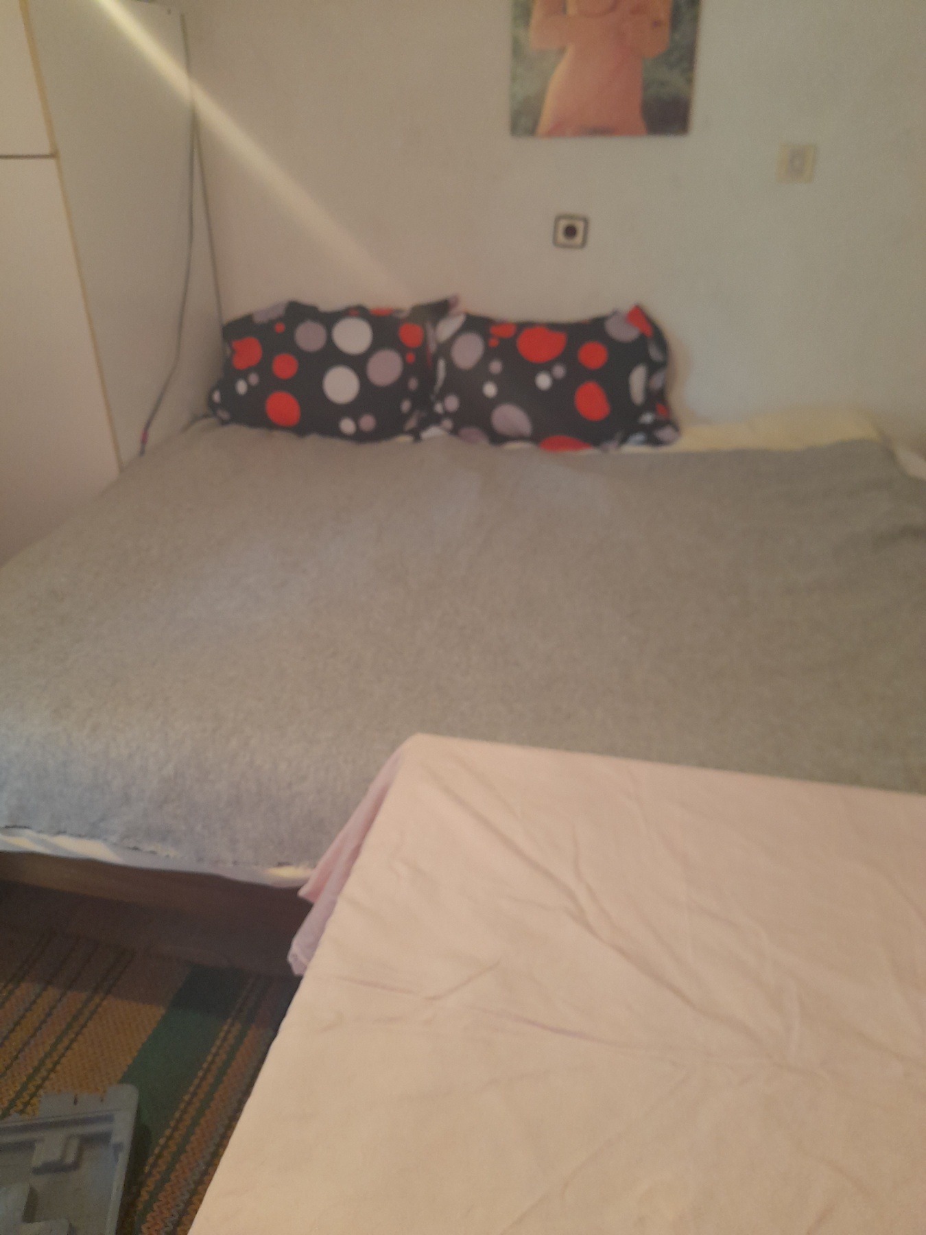 Вила с двор – само на 12 км от град Русе - 3