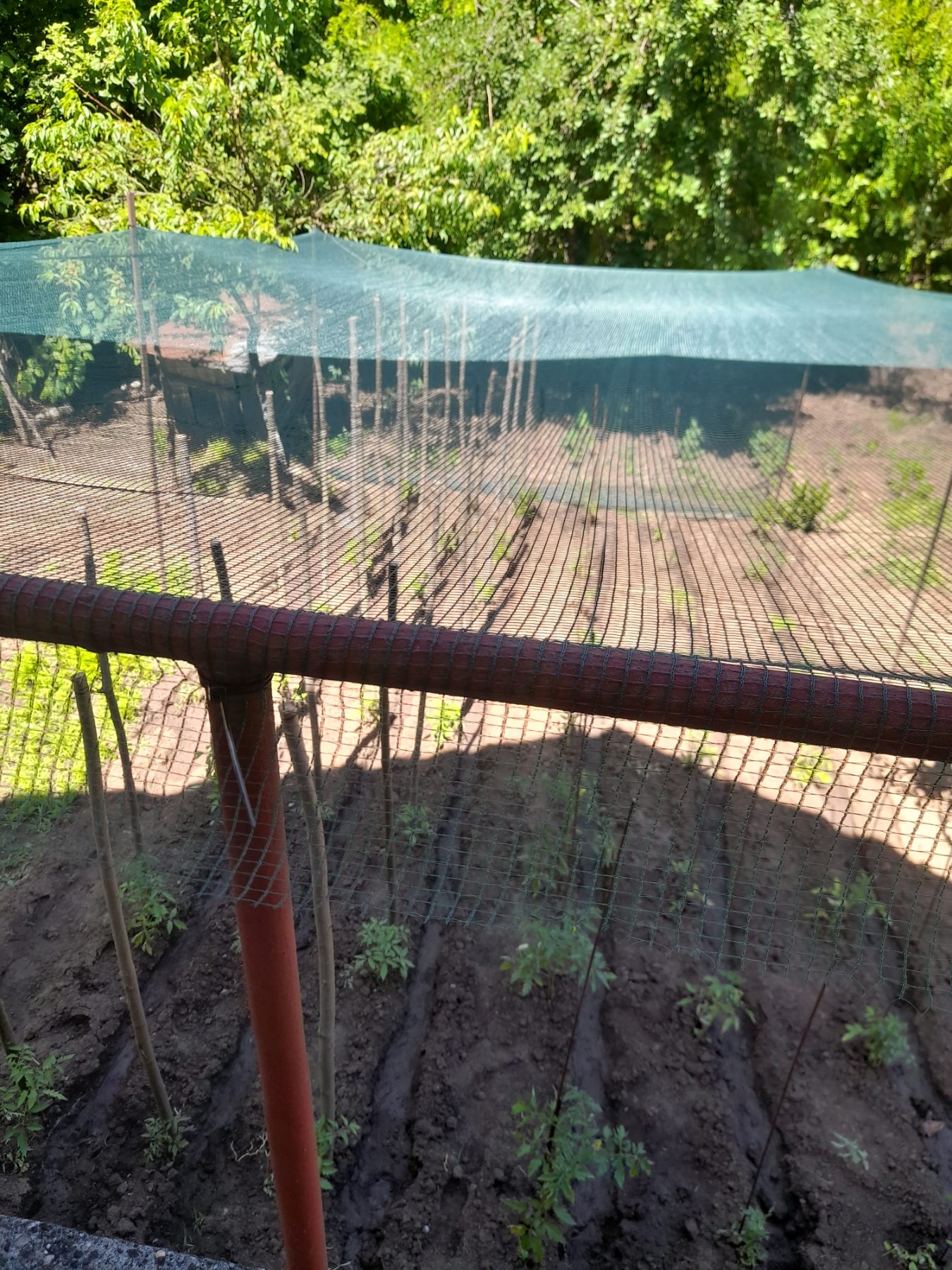 Вила с двор – само на 12 км от град Русе - 6